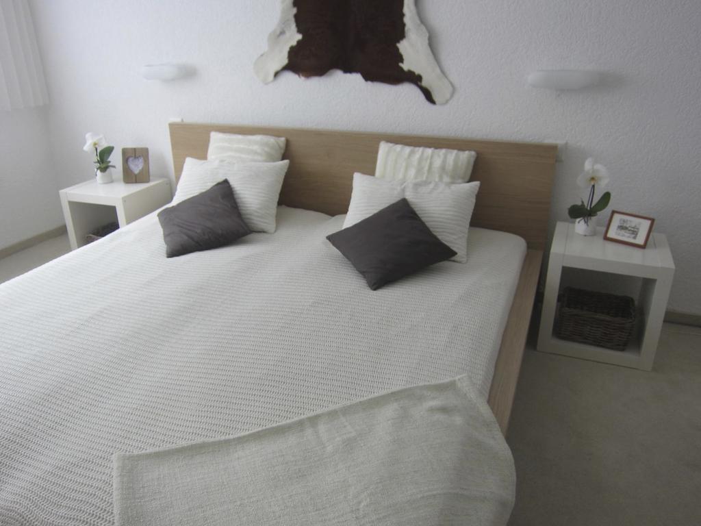 Rancho Apartment