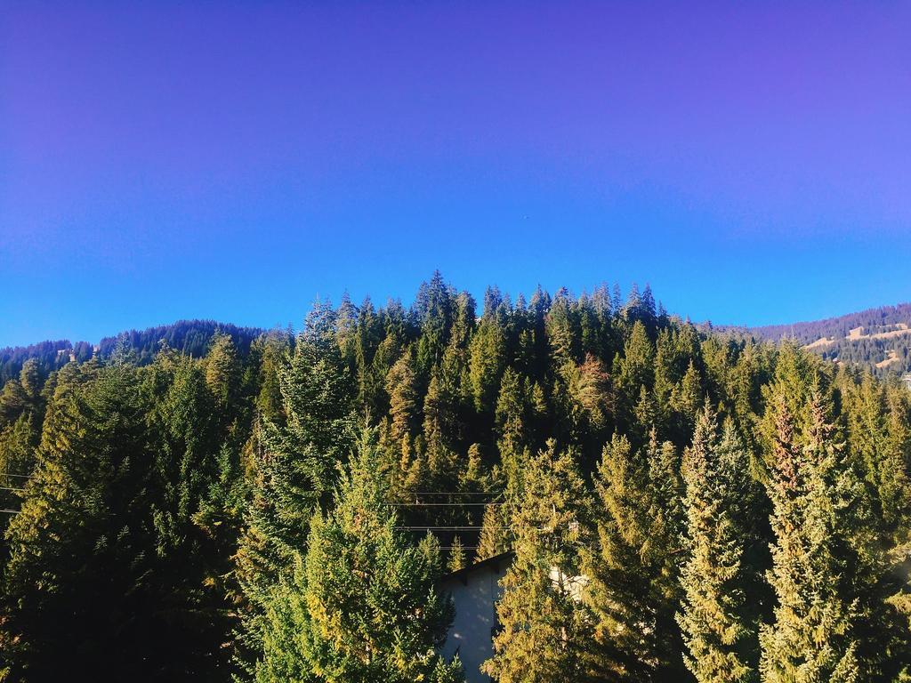 Rancho Apartment Laax